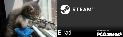 B-rad Steam Signature