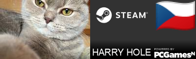 HARRY HOLE Steam Signature