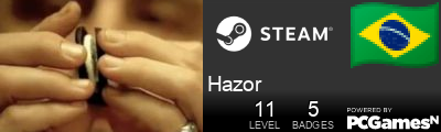 Hazor Steam Signature