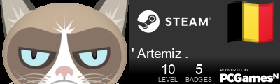 ' Artemiz . Steam Signature