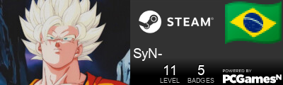 SyN- Steam Signature