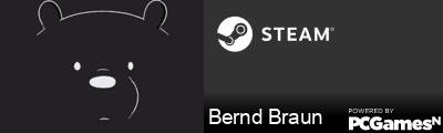 Bernd Braun Steam Signature