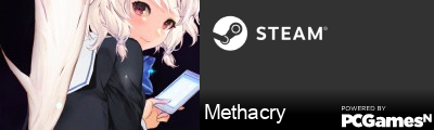 Methacry Steam Signature