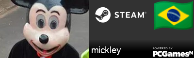 mickley Steam Signature