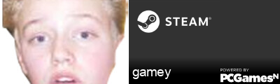 gamey Steam Signature