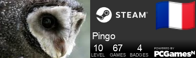 Pingo Steam Signature