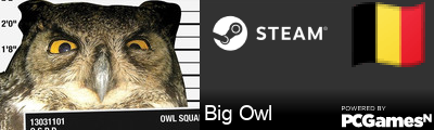 Big Owl Steam Signature