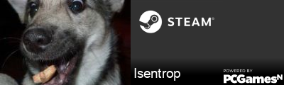 Isentrop Steam Signature
