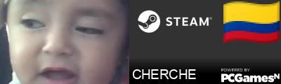 CHERCHE Steam Signature