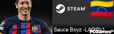 Sauce Boyz -LAGGy1 Steam Signature
