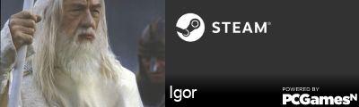Igor Steam Signature