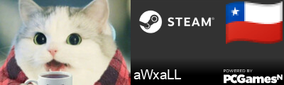 aWxaLL Steam Signature