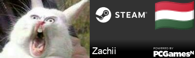 Zachii Steam Signature