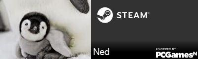 Ned Steam Signature