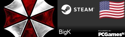 BigK Steam Signature