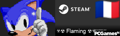 ☣☢ Flaming ☢☣ Steam Signature