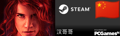 汉哥哥 Steam Signature