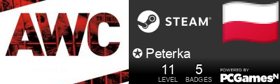 ✪ Peterka Steam Signature