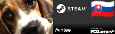Wintee Steam Signature