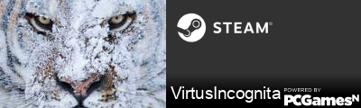 VirtusIncognita Steam Signature