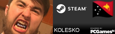 KOLESKO Steam Signature