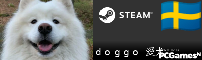 ｄｏｇｇｏ  愛犬 Steam Signature