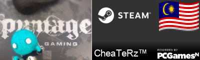 CheaTeRz™ Steam Signature