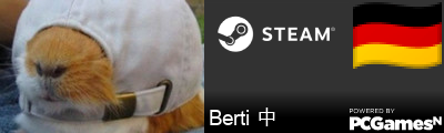 Berti 中 Steam Signature