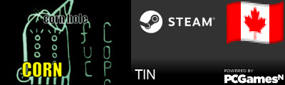 TIN Steam Signature