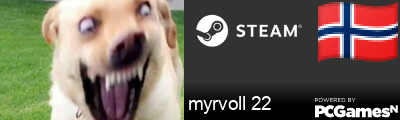 myrvoll 22 Steam Signature