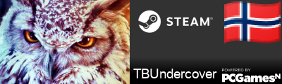 TBUndercover Steam Signature