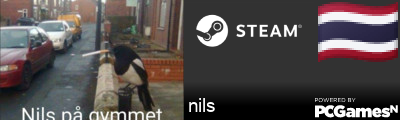 nils Steam Signature