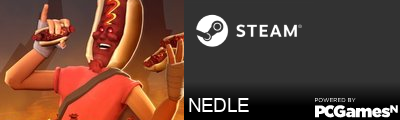 NEDLE Steam Signature