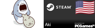 Aki Steam Signature