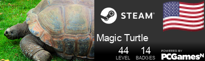 Magic Turtle Steam Signature
