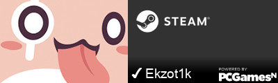 ✔ Ekzot1k Steam Signature