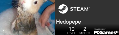 Hedopepe Steam Signature