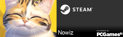 Nowiz Steam Signature