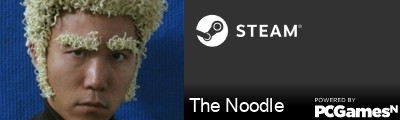The Noodle Steam Signature