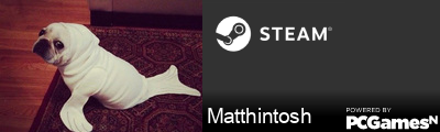 Matthintosh Steam Signature
