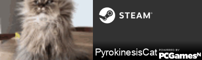 PyrokinesisCat Steam Signature