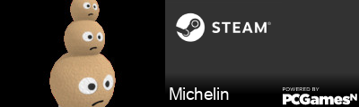 Michelin Steam Signature