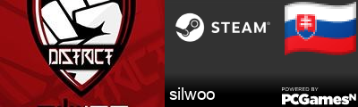 silwoo Steam Signature