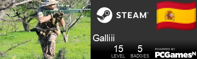 Galliii Steam Signature