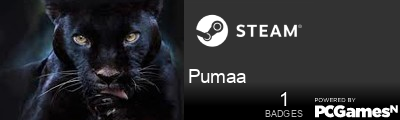 Pumaa Steam Signature
