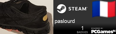 paslourd Steam Signature