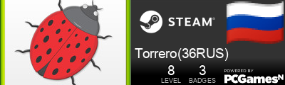 Torrero(36RUS) Steam Signature