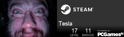 Tesla Steam Signature