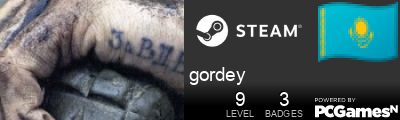 gordey Steam Signature