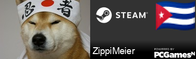 ZippiMeier Steam Signature